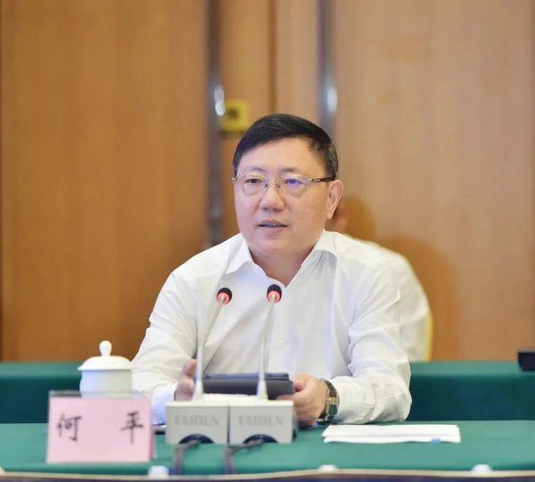 爱一配 巴中市委原书记何平，被查