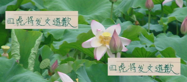 纯旭配资端 0比6大败后 张玉宁 发飙 古加 塞鸟 北京国安四名虎将 相继致歉