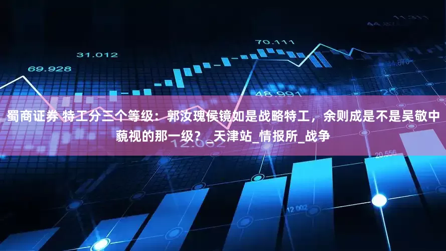 蜀商证券 特工分三个等级：郭汝瑰侯镜如是战略特工，余则成是不是吴敬中藐视的那一级？_天津站_情报所_战争