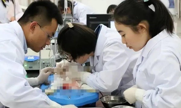 高升网 张雪峰：家族有一人学这个专业，其他人都受益，可以放心报考